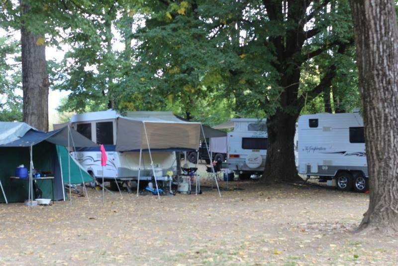 Myrtleford Holiday Park Bagian luar foto