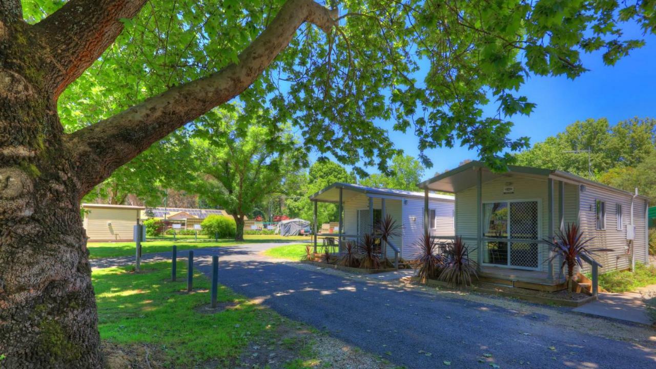 Myrtleford Holiday Park Bagian luar foto