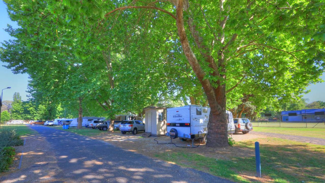 Myrtleford Holiday Park Bagian luar foto